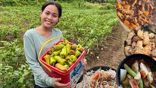 Download lagu Harvesting Bell Pepper and cook 'Saucy Pork Caldereta, Lechonbelly Sinigang and Pancit Bihon' BOHOL