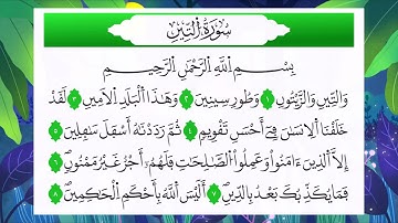 تلاوة خاشعة | سورة التين | سعد الغامدي