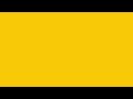 Yellow Screen For 1 Hour 4K #screen #yellow