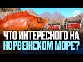 Дождались! Едем на море в поиске вкусных рыб и фарма ● Русская рыбалка 4 ● Перчик РР4