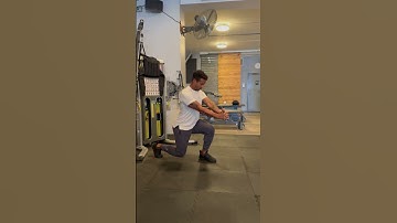 Split Squat Pallof Press Hold