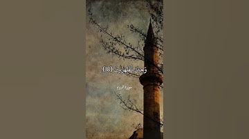 فَسُبْحَانَ اللَّهِ حِينَ تُمْسُونَ وَحِينَ تُصْبِحُونَ || سورة الروم || محمد المنشاوي