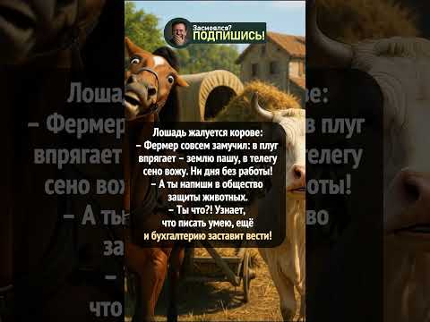 Лошадь боится писать заявления #shorts #приколы #юмор #шортс #смешно #ржака