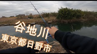 日野市 谷地川 やじがわ バス釣り調査 魚釣り系you Tuberまとめサイト Fishing