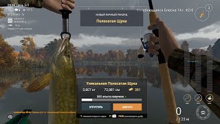 :    ( ) | Fishing Planet