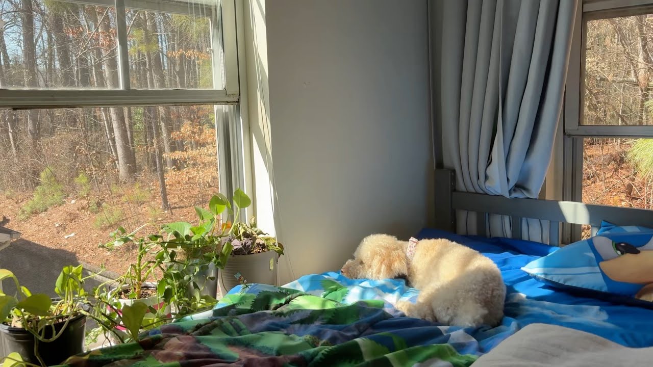 Mini vlog / cleaning my room! 