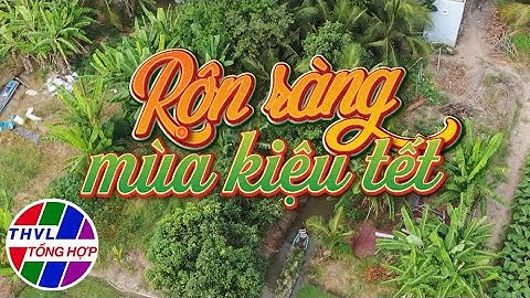 Nhịp sống đồng bằng: Rộn ràng mùa kiệu Tết