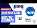 What is the difference between NCAA, NAIA and NJCAA?