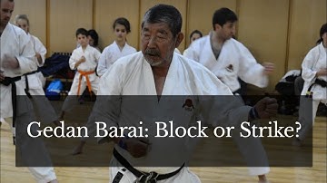 Gedan Barai – More Than Just a Block! Kato Sadashige