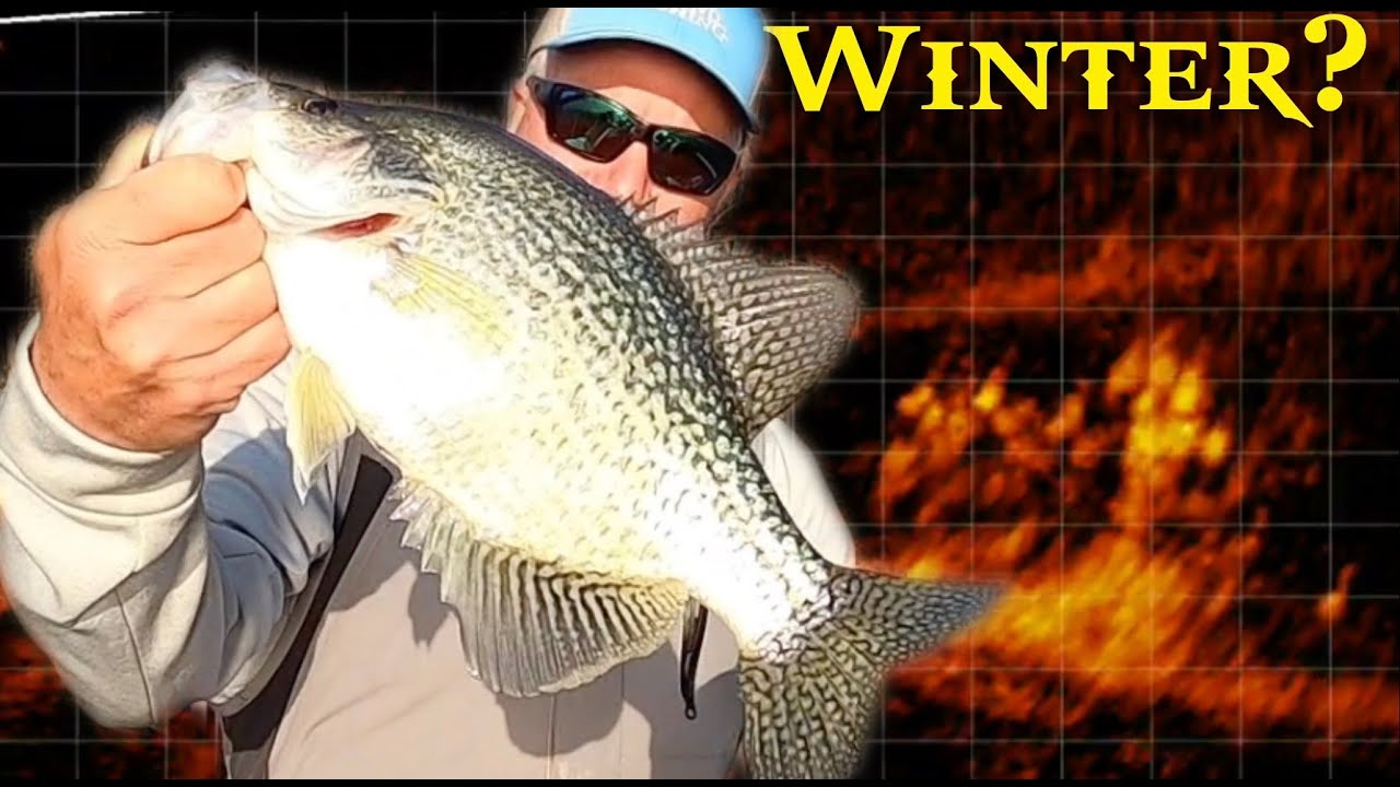 Winter Crappie Fishing (Mid Day) 