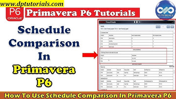 How to Identify Activities That Do Not Exist In Baseline In Primavera P6 Using Schedule Comparison