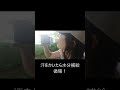 循環はジャングルの掟! #nature #art #fishing #photography