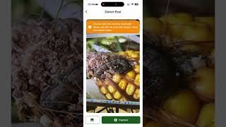 Pezego Demo Video – Platform Walkthrough