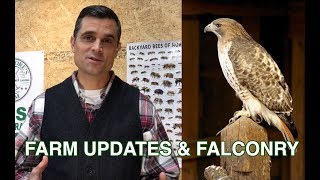 FARM UPDATES &amp; FALCONRY (100th Upload)