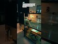 MINI GALERY TAMPILAN BARU #aquarium #aquascape #turtle