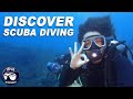 Tims discover scuba diving dsd  padi