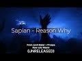 Sapian - Reason Why (Unreleased ID) 