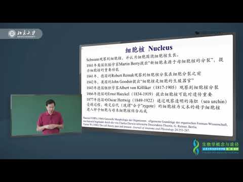 什么技术推进了细胞理论？