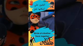 الطيور علي أشكالها تقع birds of a feather flock together #مصطلحات_انجليزية #englishidioms #shorts