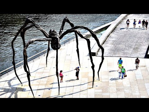 Вопрос: Как распознать бразильского странствующего паука?