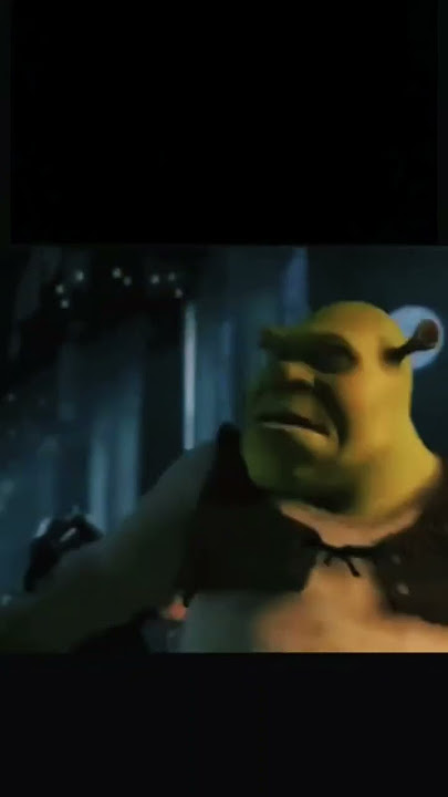 Shrek 2 but it's only 10 seconds a day and every second is random 82 