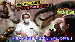 【初心者】長崎の「カブト虫の森」に突撃!!分からないこと聞いてみた！