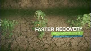 mode of action of isabion by syngenta