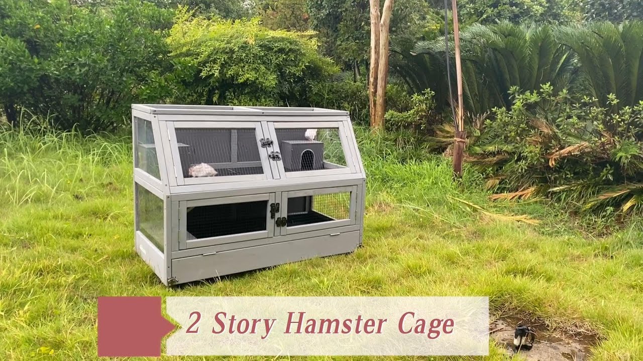 Hamster Cage Security Levels Explained photo