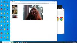 CISS216 - Web Development - Spring 2024 - Week 14 Lecture