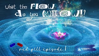 What the FLOW Do You Know!? Episode 1: Unlocking the Secrets of Reality