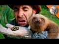 POOPING A SLOTH!