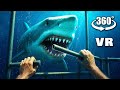 VR 360° YOU'RE IN THE SHARK CAGE, Try to Survive!