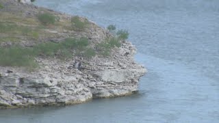 Authorities searching for 8-year-old boy who fell off boat at Lake Travis