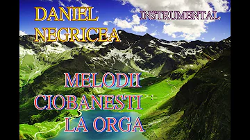 █▬█ █ ▀█▀  2023 MELODII CIOBANESTI  DANIEL NEGRICEA [ DOMN PROFESOR DANCIU ]