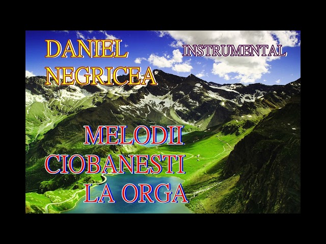 █▬█ █ ▀█▀  2023 MELODII CIOBANESTI  DANIEL NEGRICEA [ DOMN PROFESOR DANCIU ] class=