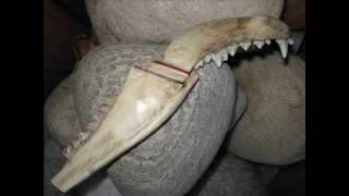 Making a Sheath for the Dog Jaw Knife