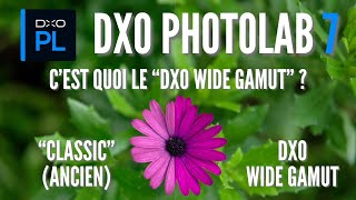 DxO Photolab 7 : c'est quoi le DxO Wide Gamut ? L'espace colorimétrique de travail expliqué