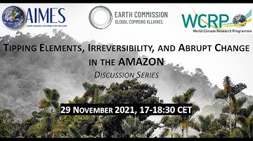 Tipping elements, irreversibility, and abrupt change in the Earth system - Amazon (#2)