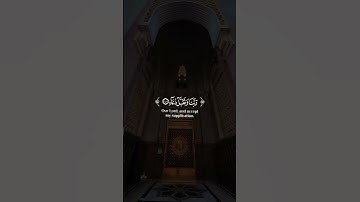 ربي إجعلني مقيم الصلاة ومن ذريتي ✨️حالات واتس اب قرآن كريم