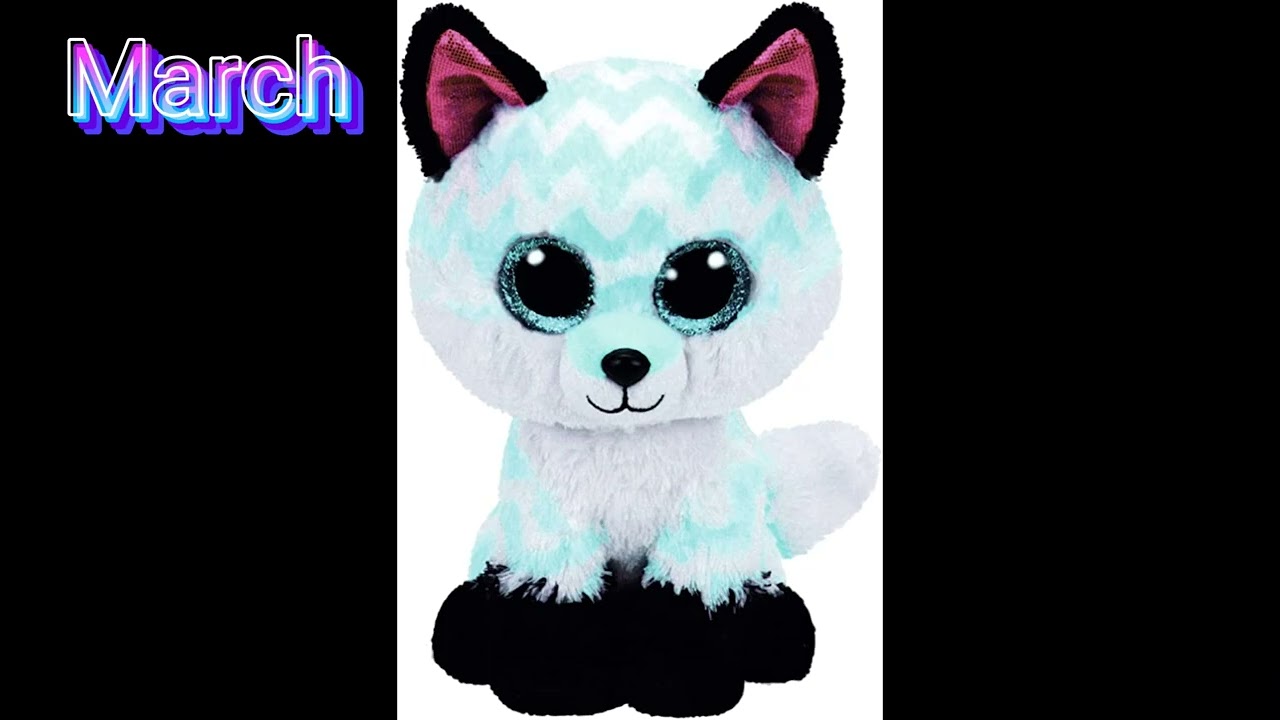 Your Month Your Beanie Boo! - YouTube