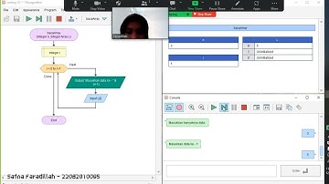 FLOWGORITHM SELECTION SORT - TGSLOGALGO13_C_22082010095