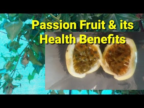 passion-fruit-and-it's-health-benefits-(20)