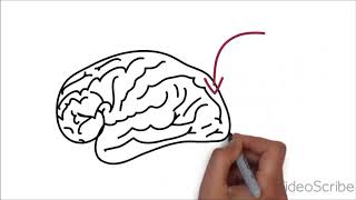 Download Lagu H6 en H7 Simultaanagnosie MP3