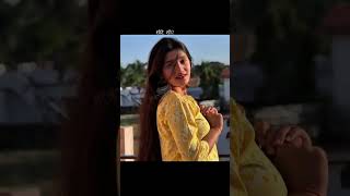 dil laga liya maine tumse pyaar karke,||alka yagnik|| udit narayan||#lyricsamanx #hindisong#ytshorts