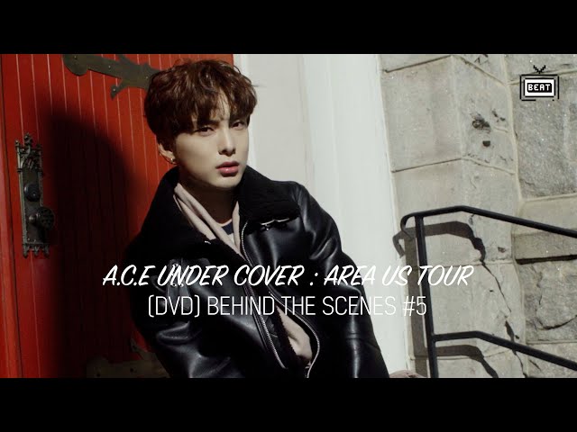 A.C.E under cover area us dvd