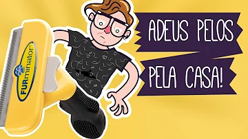 Como acabar com os pelos de cachorro em casa?