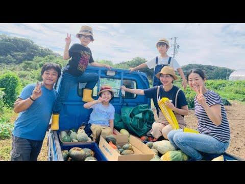 ミーのカボチャ祭り！２日目の様子