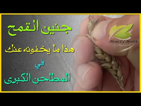 هذا ما يخفونه عنك في المطاحن الكبرى فصل نواة القمح عن حبوب القمح
