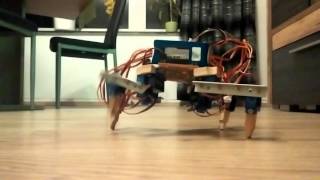 Quadruped Robot - First good steps