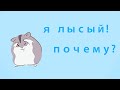 Почему у хомяка брюшко синего цвета? ЭНИМАЛтерапия.